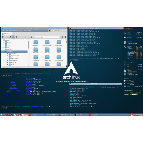Buy Latest Arch Linux 32/64 bit DVD online at the lowest price in India